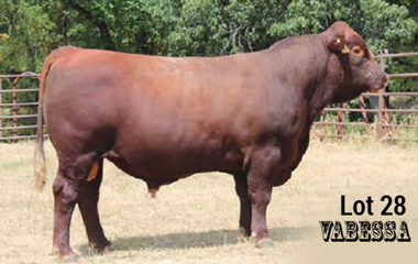 Lot 28 - TJB 914U VALERO 4111C ET